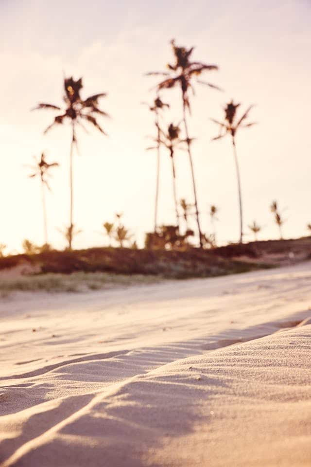 Seaside Dream Meaning