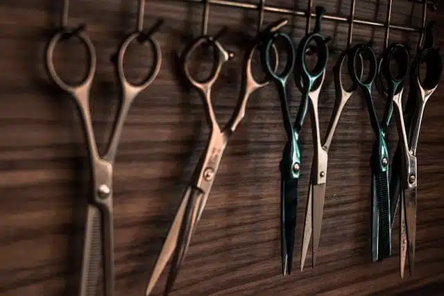 Scissors 1 Scissors Dream Meaning