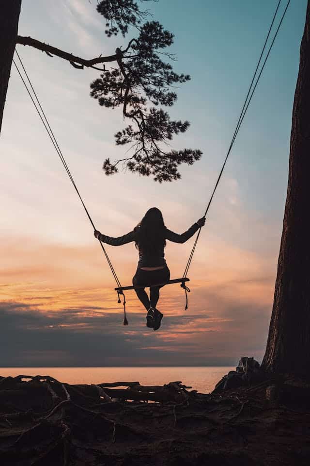 Swing Dream Meaning