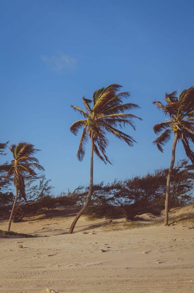 Violent Wind Dream Meaning