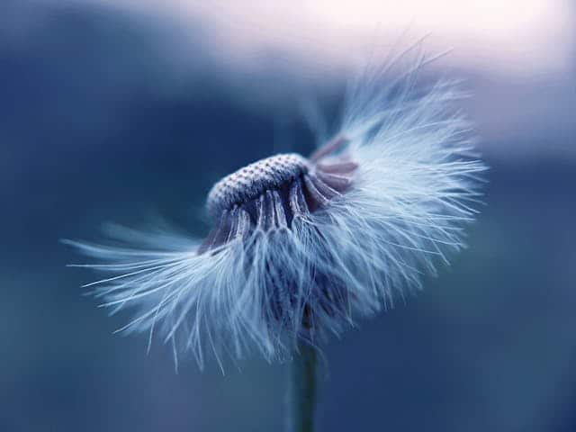 Wind Dream Meaning