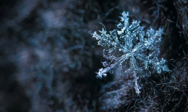 Cold Dream Meaning