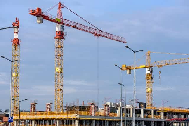 Crane Dream Meaning
