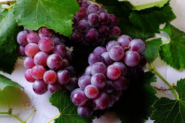 Grape Dream Meaning