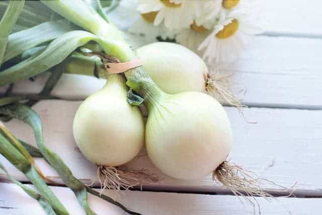 Onion Dream Meaning