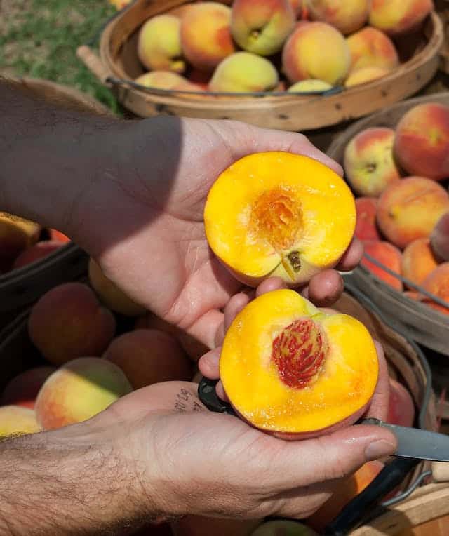 Peach Seed Dream Meaning 