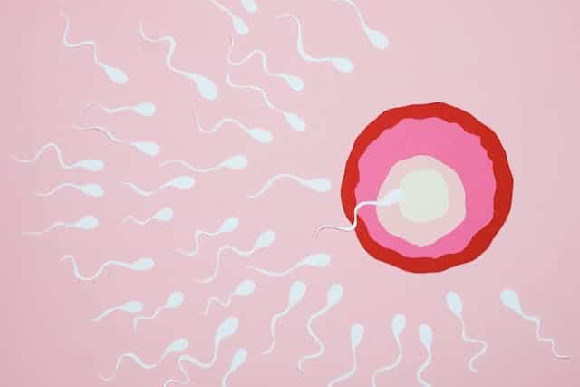 Sperm Dream Meaning