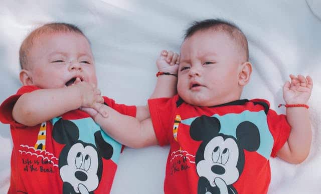 Having Twins Dream Meaning