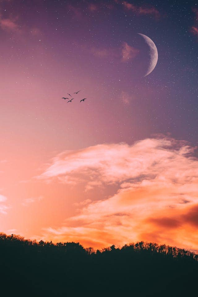 Pink Sunset Dream Meaning