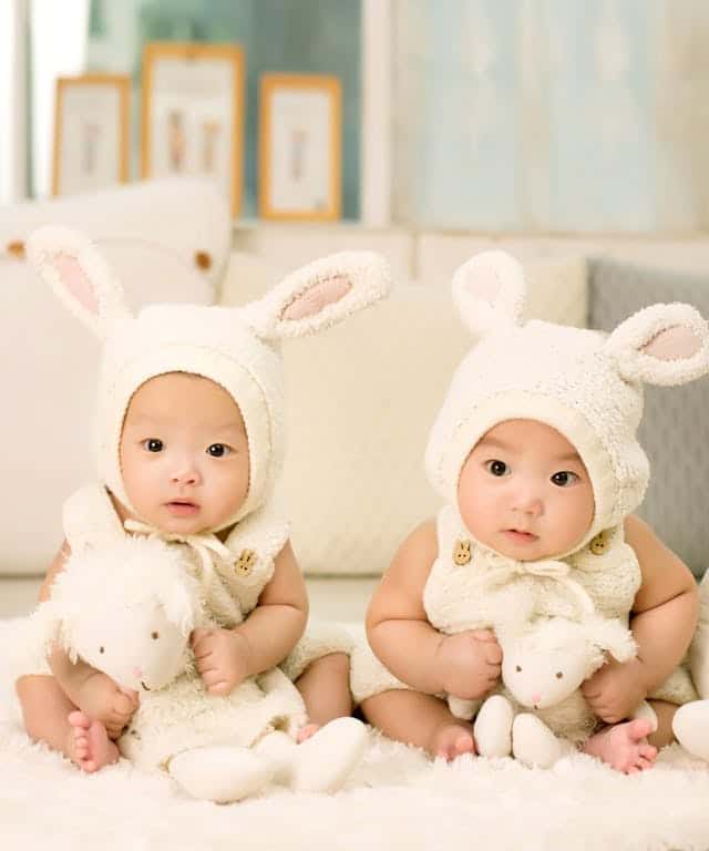 Twins Dream Meaning
