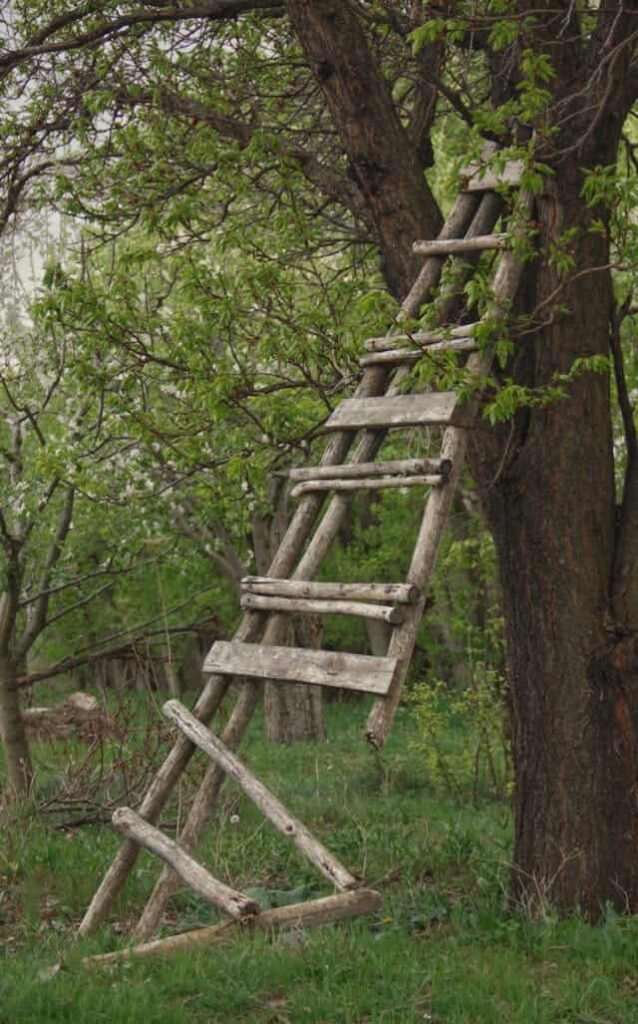 Broken Ladder Dream Meaning