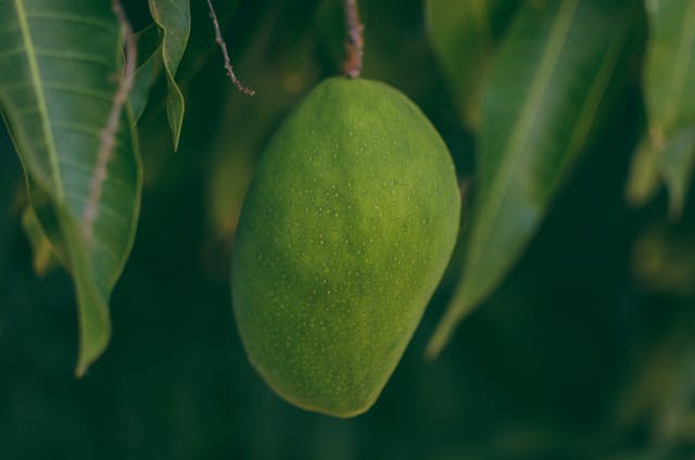 Green Mango Dream Meaning
