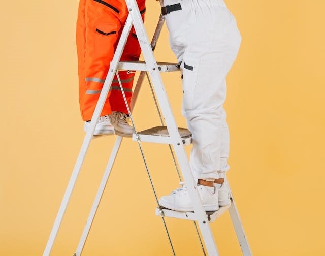 White Ladder Dream Meaning